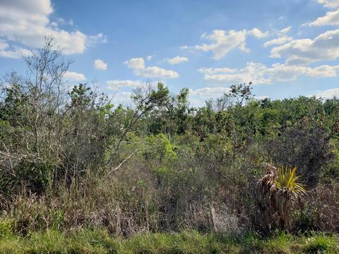 14930 NW 310th St, Okeechobee, FL 34972