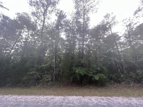 Tbd 247th, Fort Mc Coy, FL 32134