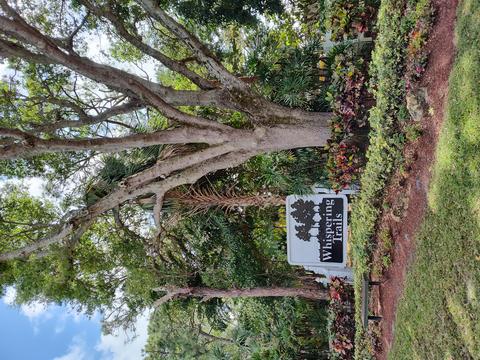 19542 Red Gum Trl, Jupiter, FL 33458
