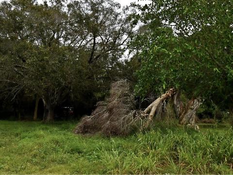 0 N 19th St, Fort Pierce, FL 34950
