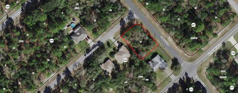 3038 W Doronicum Pl, Citrus Springs, FL 34433