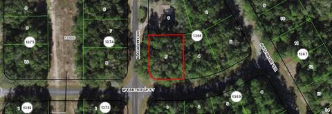 1443 W Partridge St, Citrus Springs, FL 34434