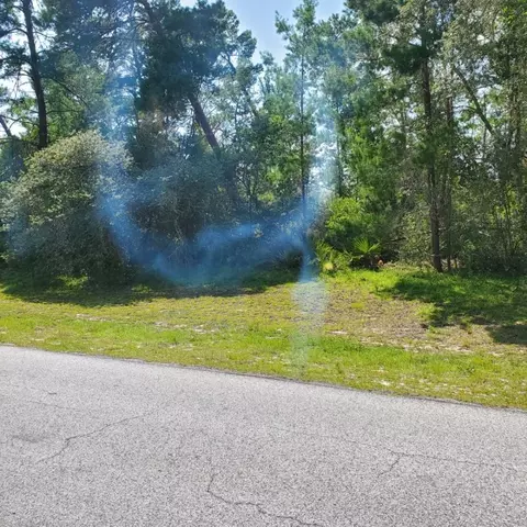 . SW 163rd Pl Road, Ocala, FL 34473