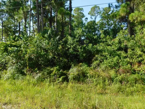 Lot 43 90th N Street, The Acreage, FL 33470