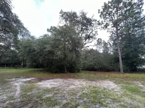 121 Hampton Dr, Georgetown, FL 32139