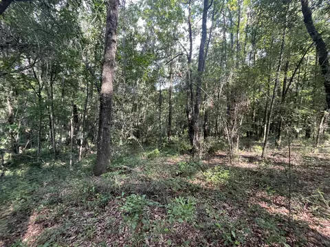 Tbd NW 181st Place, High Springs, FL 32643