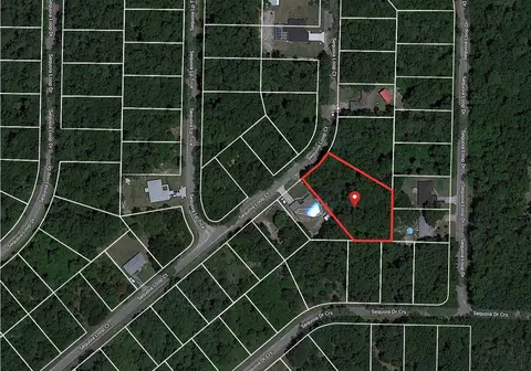 0 Sequoia Loop Ct, Ocklawaha, FL 32179