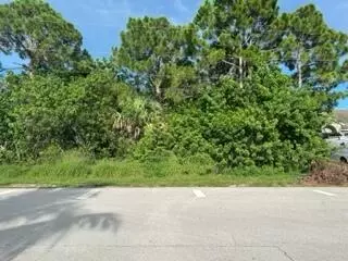 4261 SW Daemon W St, Port Saint Lucie, FL 34953