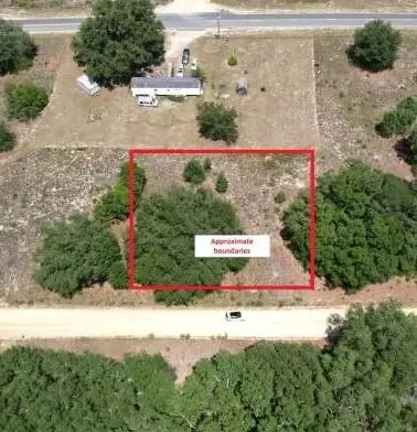 Tba Lenore Avenue, Interlachen, FL 32148
