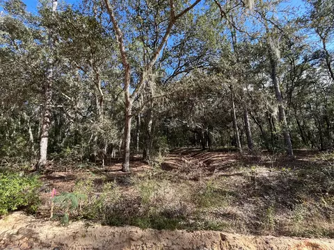 Tbd S Cooper Lake Street, Interlachen, FL 32148