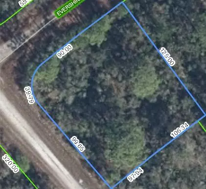 3124 Evershine Ave, Lake Placid, FL 33852
