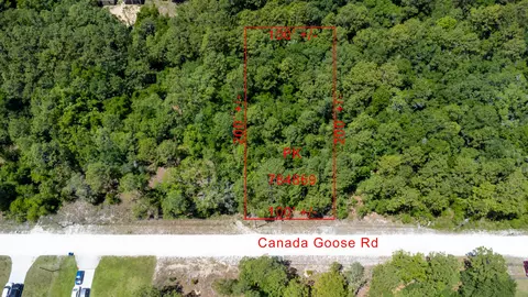00 Canada Goose Rd, Weeki Wachee, FL 34614