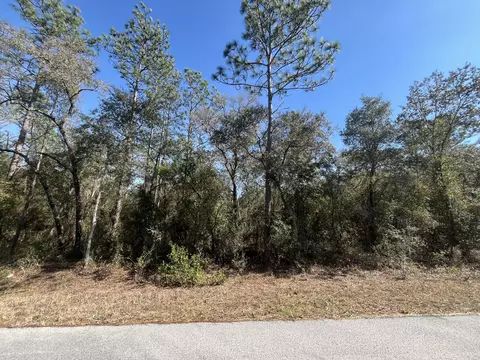 Tbd SW Big Tree Road, Dunnellon, FL 34431