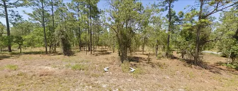 Tbd NW Wateroak Avenue, Dunnellon, FL 34431