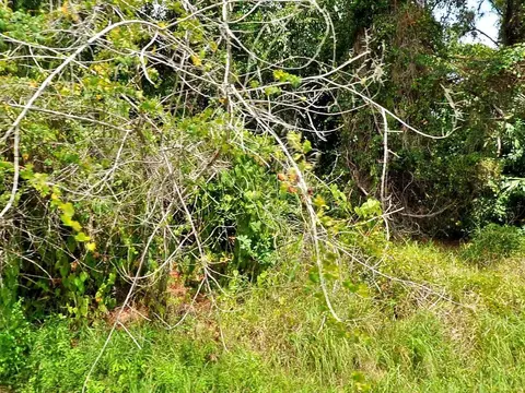 762 SW Hogan St SW, Port Saint Lucie, FL 34983