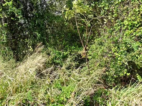 000 N 37th St, Fort Pierce, FL 34946