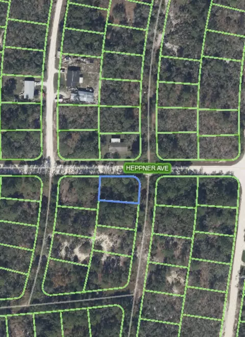 340 Dreamers Dr, Lake Placid, FL 33852