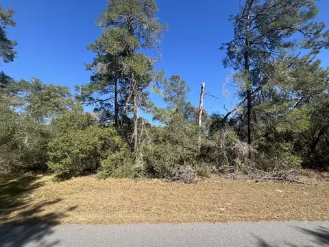 Tbd SW 37th Terrace Road, Ocala, FL 34473