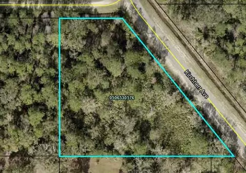 10615 Kirchherr Ave, Hastings, FL 32145