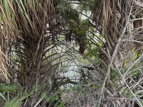 2591 SE Appleby St, Port Saint Lucie, FL 34984