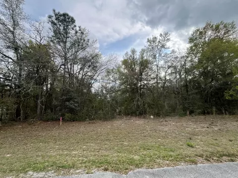 Tbd SW 133rd Lane Road, Dunnellon, FL 34432