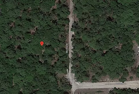 tbd martha drive, Interlachen, FL 32148