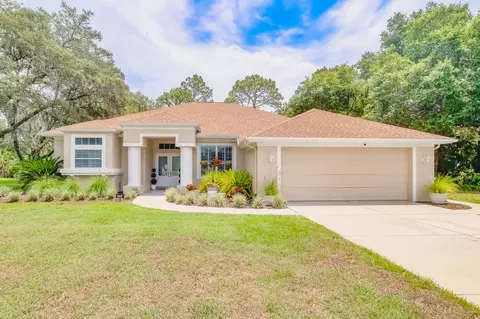 168 Minerva Pl, Spring Hill, FL 34609
