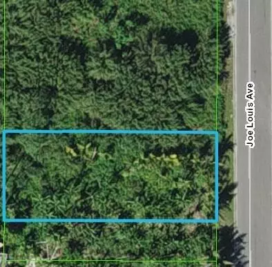 0 Joe Louis Ave #000-0080, Pahokee, FL 33476