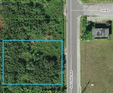 0 Joe Louis Ave #000-0090, Pahokee, FL 33476