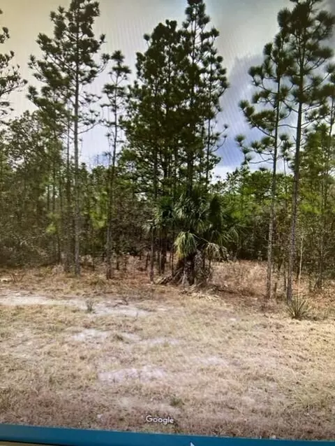 0 Mellon Rd, Weeki Wachee, FL 34614