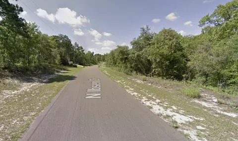 7945 N Ibsen Dr, Dunnellon, FL 34433
