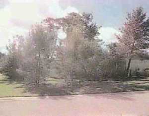 5302 SE Running Oak Cir, Stuart, FL 34997 photo 1