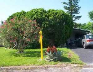 302 5th, Jupiter, FL 33458 photo 1