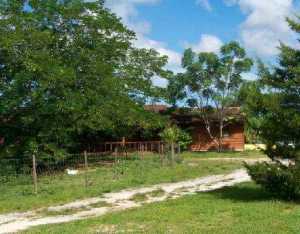 15212 N 98th Ter, Jupiter, FL 33478 photo 1