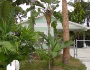 1012 Commanche, Jupiter, FL 33458 photo 1