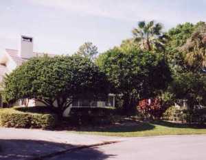 6062 SE Medinah, Stuart, FL 34997 photo 1