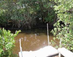 1004 NW Mohican, Jupiter, FL 33458 photo 1