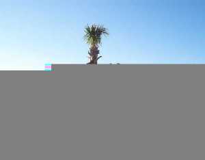 2472 SW Impala Way, Stuart, FL 34997 photo 1