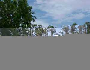 1187 SE Dolphin, Stuart, FL 34996 photo 1