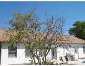 1197 8th St, Okeechobee, FL 34972 photo 1
