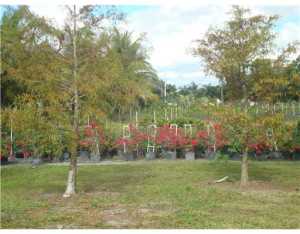 1876 E Rd, Loxahatchee, FL 33470 photo 1