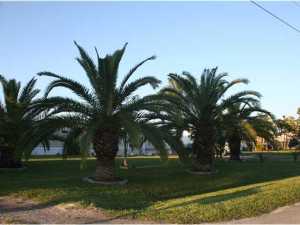 2535 Carroll St, Stuart, FL 34997 photo 1