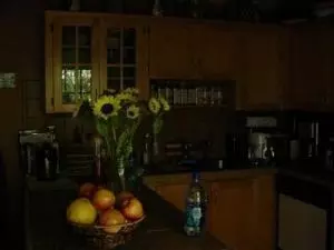3226 Eagle Ave, Key West, FL 33040 photo 3