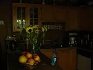 3226 Eagle Ave, Key West, FL 33040 photo 2