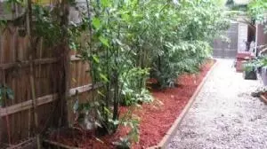 3213 Eagle Ave, Key West, FL 33040 photo 9