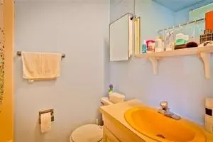933 Fleming St, Key West, FL 33040 photo 16