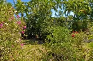 3701 Eagle Ave, Key West, FL 33040 photo 12