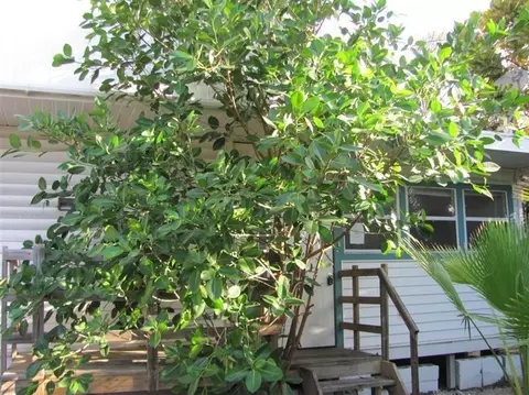 3219 Eagle Ave, Key West, FL 33040 photo 8