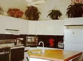 1600 Manor Apt, Cocoa, FL 32922 photo 5