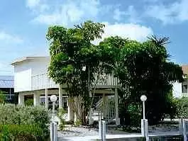 120 Bruce Apt, Marathon, FL 33050 photo 1